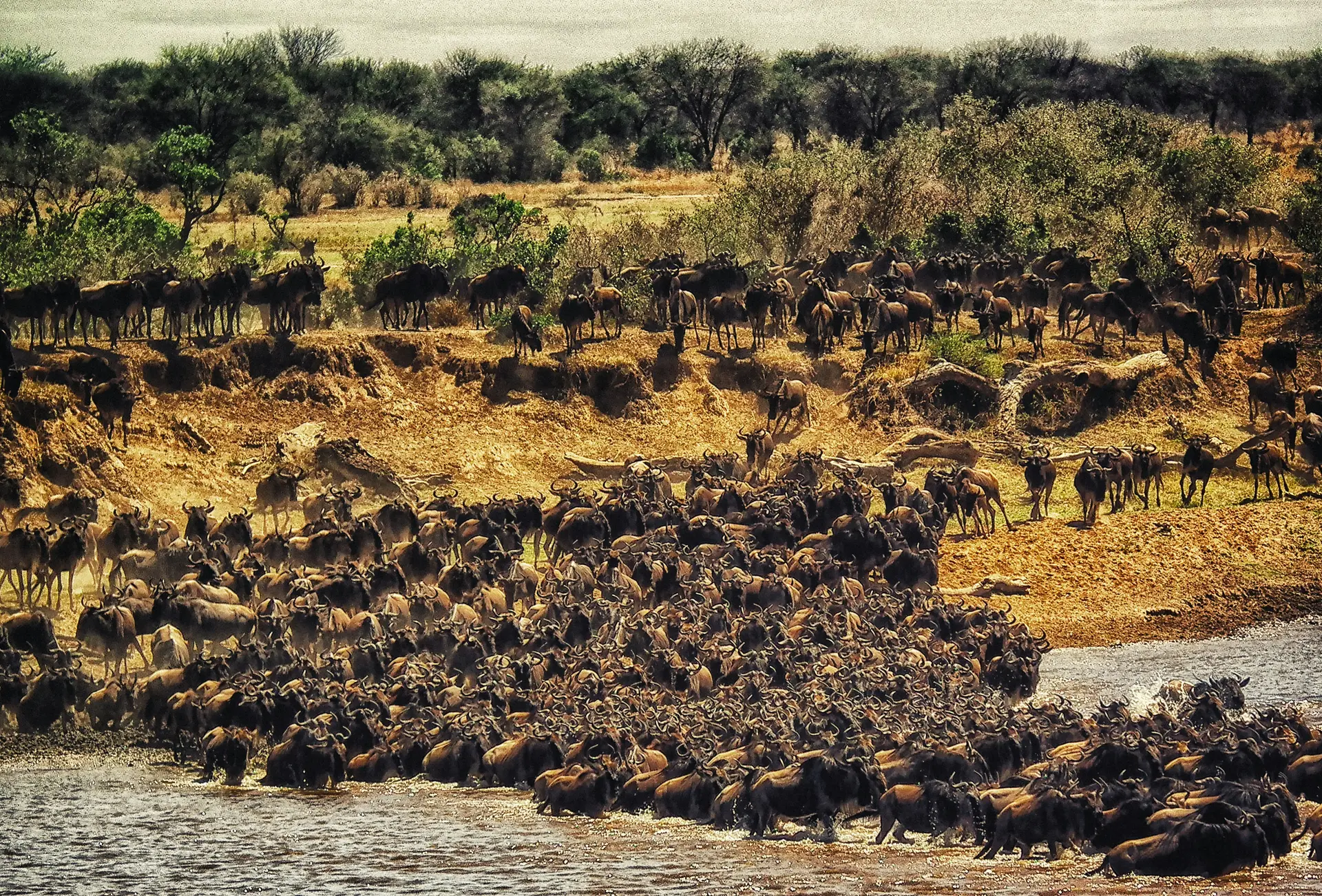 Maasai Mara